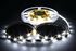 Picture of STRISCIA LUMINOSA BIAN-FRE 150 LED SMD5050 5MT. 12VDC IP20 S