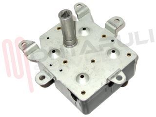 Immagine di MOTORIDUTTORE GIRARROSTO 110/220V