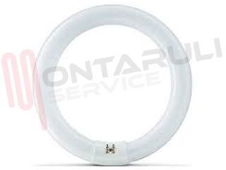 Immagine di TUBO FLUORESCENTE CIRCOLARE L32W/21-840C