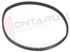 Immagine di CINGHIA DENTATA L=143MM.