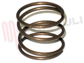 Visualizza i dettagli per MOLLA MANOPOLA TIMER LAVATRICE Immagine di MOLLA MANOPOLA TIMER LAVATRICE