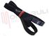 Immagine di CINGHIA RIGHI 8 STRETTI CM.54,5 1185H8EL
