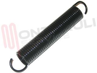Immagine di MOLLA SPORTELLO LAVASTOVGILIE 'D200' RG104 L=125MM.