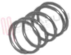 Visualizza i dettagli per MOLLA MANOPOLA Immagine di MOLLA MANOPOLA