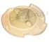 Immagine di CAMMA DISTRIBUZIONE TIMER LAVATRICE  "MALICE 70"