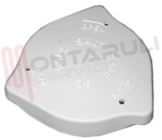 Immagine di TAPPO CONTENITORE SALE LAVASTOVIGLIE CANDY