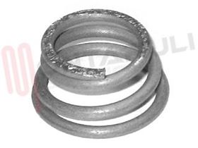 Visualizza i dettagli per MOLLA PER MICROINTERRUTORI CATENARIA FRANKE Immagine di MOLLA PER MICROINTERRUTORI CATENARIA FRANKE