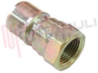 Immagine di GIUNTO RAPIDO MASCHIO 3/8'' SAE WM-21