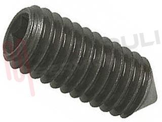 Immagine di VITE GRANO 20X8MM. TIPO GRANDE