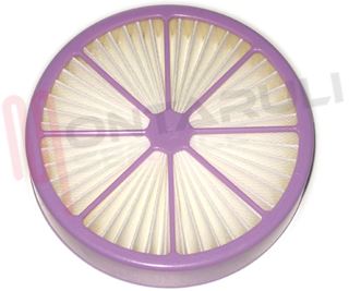 Immagine di FILTRO HEPA RS-RH4969 ROSA