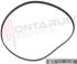 Immagine di CINGHIA DENTATA 501-3KC-9 MOULINEX