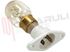 Immagine di LAMPADA FORNO ATT. FASTON 25W 220/230V PER MICROONDE