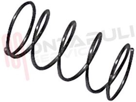 Visualizza i dettagli per MOLLA PULSANTE ANTINA CESTO Immagine di MOLLA PULSANTE ANTINA CESTO