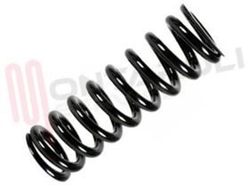 Visualizza i dettagli per MOLLA PIOLO CONTROCORNICE OBLO' Immagine di MOLLA PIOLO CONTROCORNICE OBLO'