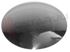 Immagine di CAPPELLOTTO INOX RAPIDO P64