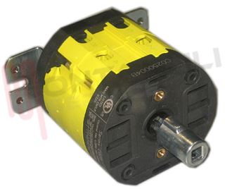 Immagine di INTERRUTTORE4P 16A RETROQ. C0250004B