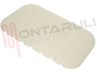 Immagine di FILTRO MOTORE DOLPHIN Z3829 Z3870 CF.1PZ