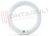Immagine di TUBO FLUORESCENTE CIRCOLARE L32W/41-827