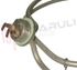 Immagine di RESISTENZA CIRCOLARE 2500W 1/4'' INDUSTRIALE Ø250MM.