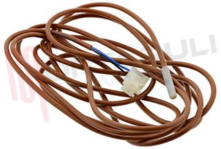 Immagine di SONDA RILEVAZIONE TEMPERATURA ARIA L=2900MM