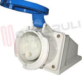 Visualizza i dettagli per PRESA DA PANNELLO ANGOLATA 2P+T 32A Immagine di PRESA DA PANNELLO ANGOLATA 2P+T 32A