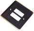 Immagine di PLACCA 2 FORI ALLUMINIO BRONZO VIMAR