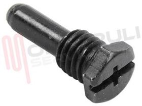 Visualizza i dettagli per PERNO CERNIERA L=24MM. 'FI22/10ER' Immagine di PERNO CERNIERA L=24MM. 'FI22/10ER'