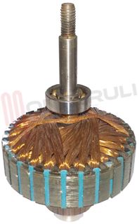 Immagine di ROTORE LUCIDATRICI OLIMPIC MULTIMPIEGHI 220V 50HZ