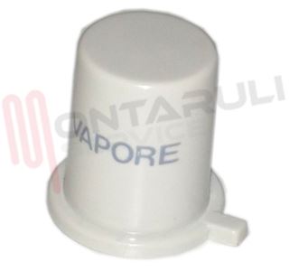 Immagine di TASTO PULSANTE SPRAY SECCO/VAPORE
