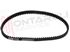 Immagine di CINGHIA DENTATA INFERIORE FP950 (SER: 255RPP3)