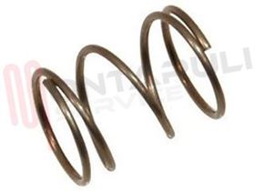 Visualizza i dettagli per MOLLA AGGANCIO MASSELLO ST60 Immagine di MOLLA AGGANCIO MASSELLO ST60