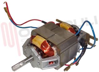 Immagine di MOTORE TRITOBLOK INOX ART. 221/224