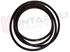 Immagine di GUARNIZIONE VASCA CTD105T