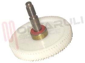 Visualizza i dettagli per INGRANAGGIO GRATTUGIA GHIRO Immagine di INGRANAGGIO GRATTUGIA GHIRO