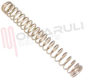 Visualizza i dettagli per MOLLA LAVATRICE HOBBY WASH II SERIE Immagine di MOLLA LAVATRICE HOBBY WASH II SERIE