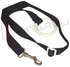 Visualizza i dettagli per TRACOLLA AGGANCIO LUCIDATRICE PHILIPS Immagine di TRACOLLA AGGANCIO LUCIDATRICE PHILIPS