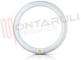 Visualizza i dettagli per TUBO FLUORESCENTE CIRCOLARE 40W 6500°K 2560LUM. Immagine di TUBO FLUORESCENTE CIRCOLARE 40W 6500°K 2560LUM.
