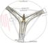 Immagine di CROCIERA CESTO 42CM 6203+6205 ASSE 88MM