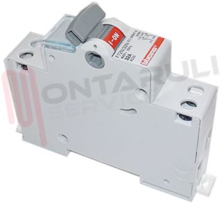 Immagine di SEZIONATORE 2P 32A N/ACCESSORIABILE 1M
