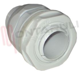 Visualizza i dettagli per RACCORDO GUAINA GIREVOLE DRITTO D.25MM. Immagine di RACCORDO GUAINA GIREVOLE DRITTO D.25MM.