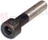 Immagine di BULLONE FERMACESTO M10X50