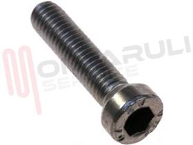 Visualizza i dettagli per VITE FISSAGGIO CESTO M6X30 Immagine di VITE FISSAGGIO CESTO M6X30