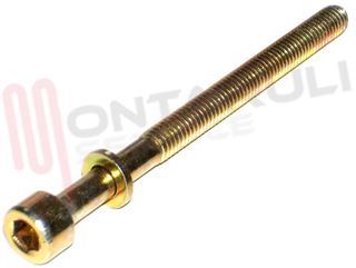 Immagine di VITE M6X80 PER FASCETTA ANELLO COPERCHIO VASCA