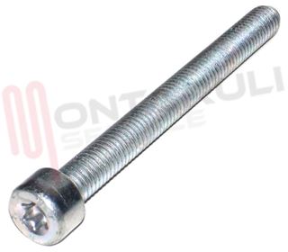 Immagine di VITE M6X88 PER FASCETTA ANELLO COPERCHIO VASCA