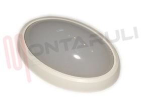 Visualizza i dettagli per PLAFONIERA 7W OVALE BIANCA LUCE NATURALE A LED Immagine di PLAFONIERA 7W OVALE BIANCA LUCE NATURALE A LED