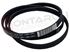Immagine di CINGHIA RIGHI 4 LARGHI CM.56 1207 4PJE 481235818204