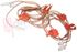 Immagine di ASSIEME 5 MICROINTERRUTORI AIRLUX SABAF 690936517100