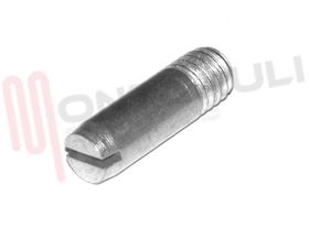 Visualizza i dettagli per PERNO PER CERNIERA M6X19MM. SME140 Immagine di PERNO PER CERNIERA M6X19MM. SME140