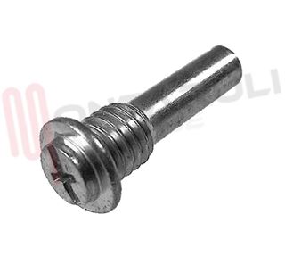 Immagine di PERNO CERNIERA INFERIORE M8X28MM. ZNCR
