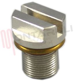 Visualizza i dettagli per TAPPO PULIZIA CALDAIA SSV1870 MASCHIO Immagine di TAPPO PULIZIA CALDAIA SSV1870 MASCHIO